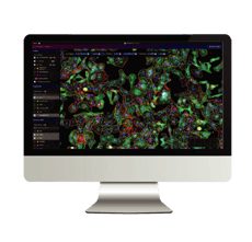 1_Drug_scrng_Wkfl_Scndry_ Visualize