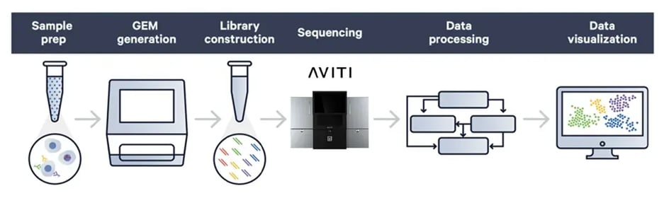 10 X Genomics Element workflow