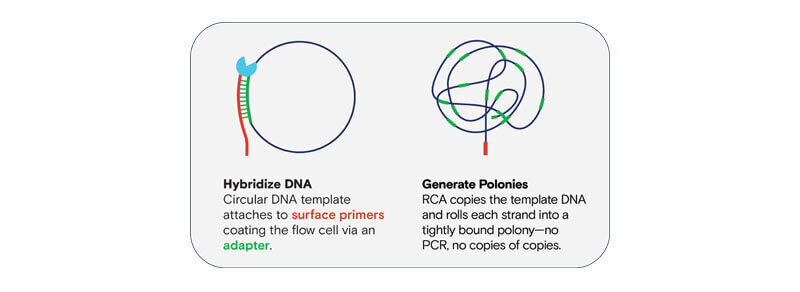 Novel Insights into Single-Cell Transcriptomics with Paired-End Sequencing