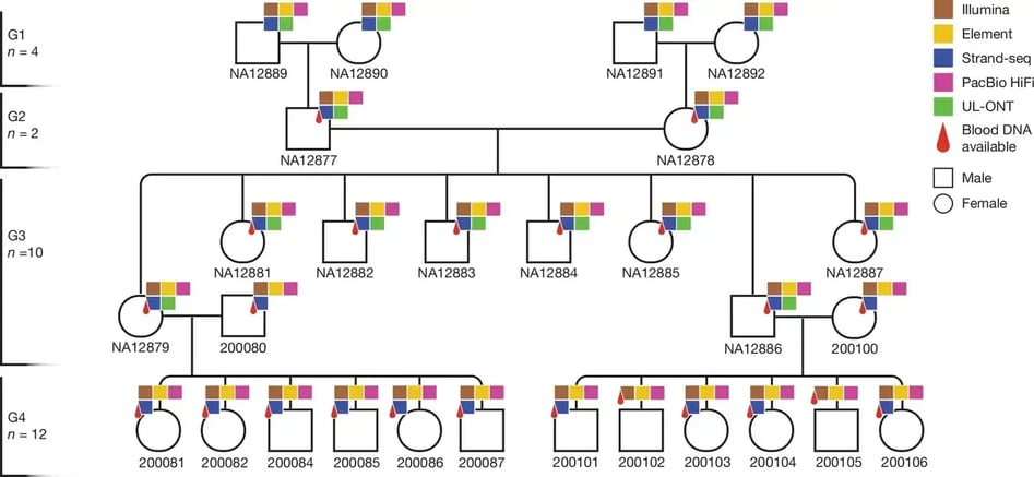 Decoding Genetic Variation: De Novo Mutations in Focus