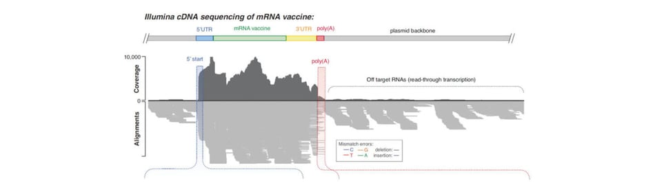 Novel Insights into Single-Cell Transcriptomics with Paired-End Sequencing