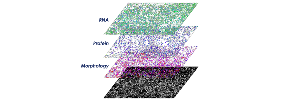 Co-detected multiomics