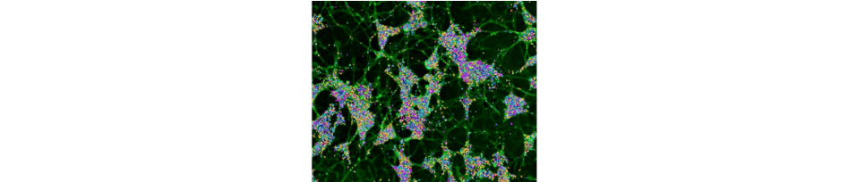 24 Ways AVITI24™ High Dimensional Multiomics Can Transform Your Research