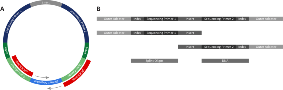 Quantification of Circular Adept™ Libraries Made Simple