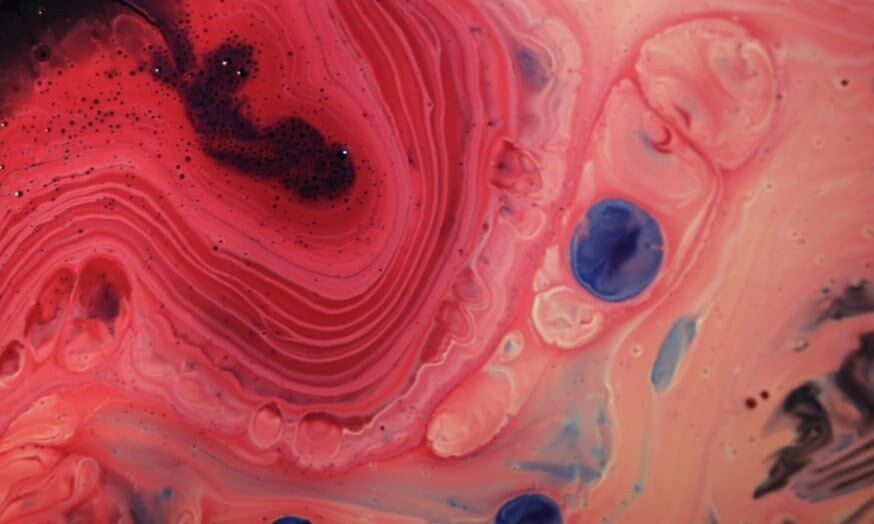 element-biosciences-bolsters-leadership-team