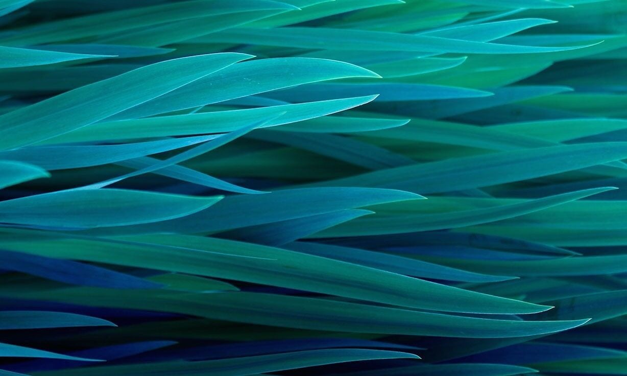 element-forges-new-partnerships-with-industry-leaders