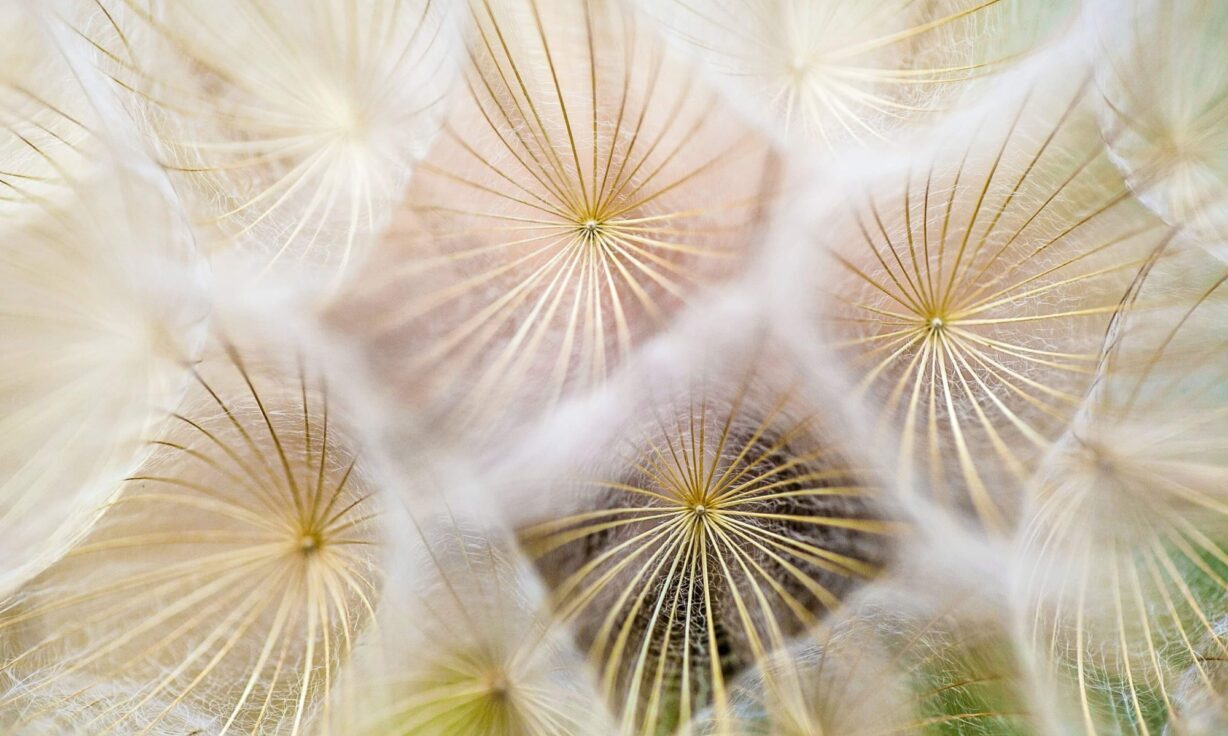 paul-talbot-pQDBGxtiDEo-unsplash