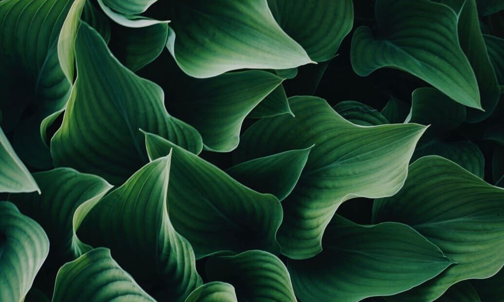 shawn-levy-strengthens-leadership-team-as-svp