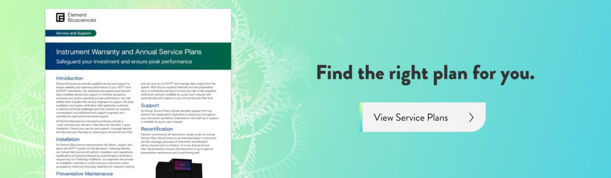 Services-Hero-2_2024-05-29-184436_wuha