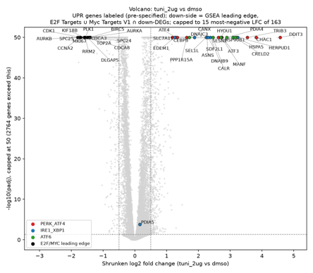 TunicamycinTranscriptionalResponse