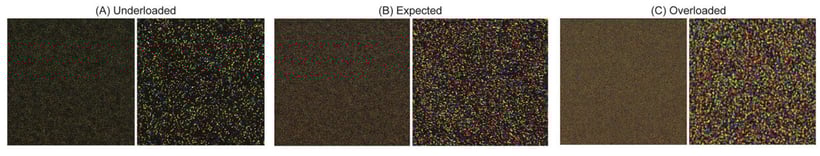 ACT137A_Fig2_loading_thumbnails-01-copy