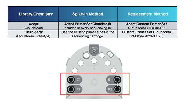 Can I use custom primers on the AVITI? | Element Biosciences