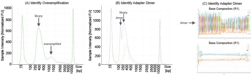 Figure_overamp_dimer_update_SKBR-136 copy