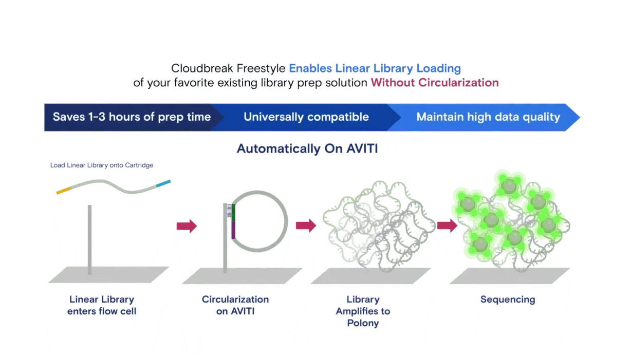 Freestyle-workflow-1_2024-05-08-214909_hgdf