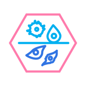 Icon_Cancer-Research_optical-pooled-screens (1)