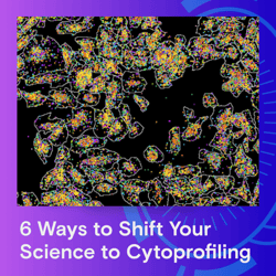 Post-Event-LP-Callout-a24-3-1