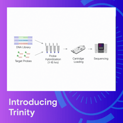 Post-Event-LP-Callout-trinity1-1