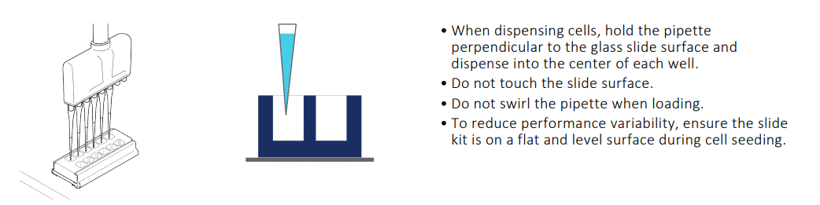 Screenshot-2025-03-04-151149