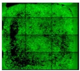 Screenshot-2025-03-04-172542