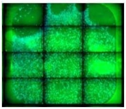 Screenshot-2025-03-04-172814