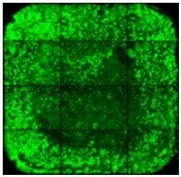 Screenshot-2025-03-04-172921