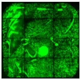 Screenshot-2025-03-04-173007