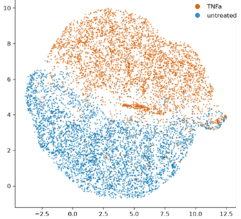 TNFa_Protein
