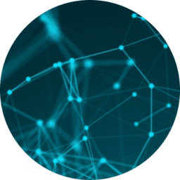 company-timeline-2019