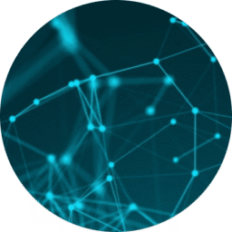 company-timeline-2020