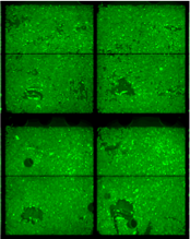 avoid-after-cells-seeded