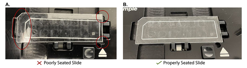 SKBR-192_fig2_seated-slide (1)