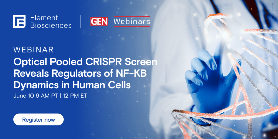 Webinar: Optical Pooled CRISPR Screen Reveals Regulators of NF-κB Dynamics in Human Cells 