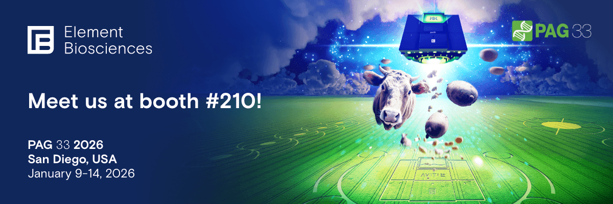 Banner_LP-Header_PAG33_2026_1200x400_Digital (1)