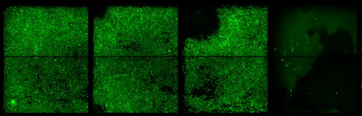 insufficient-adherence