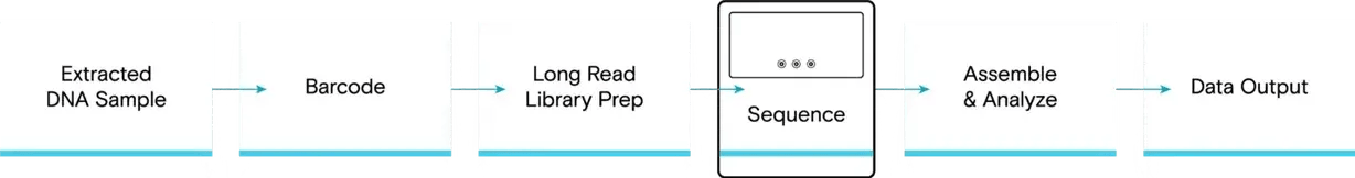 loop-long-read-flowchart-desktop_2022-07-21-170012_lmdu