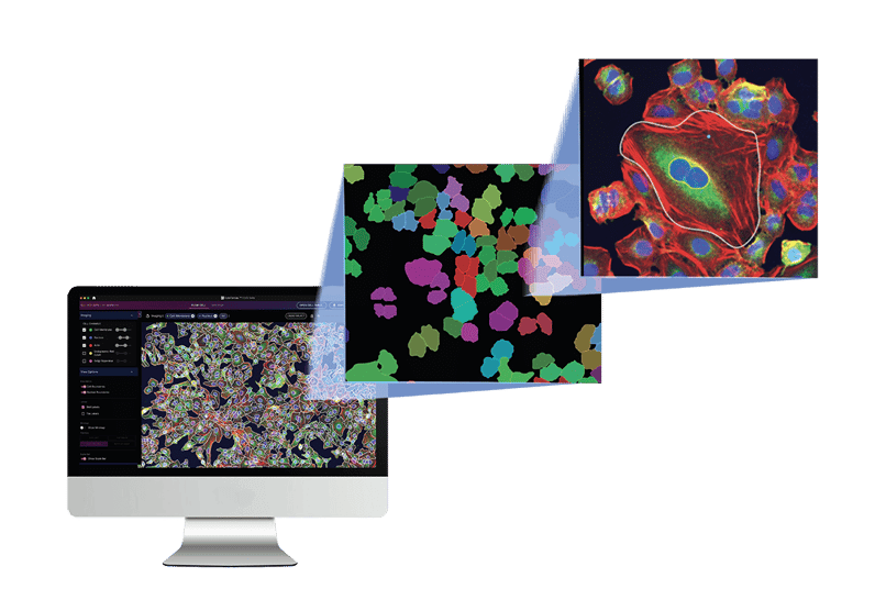 A24-Page_CRISPR-Screening_Section (1)