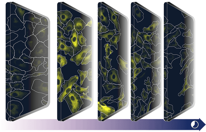 Banner_Drug-screening
