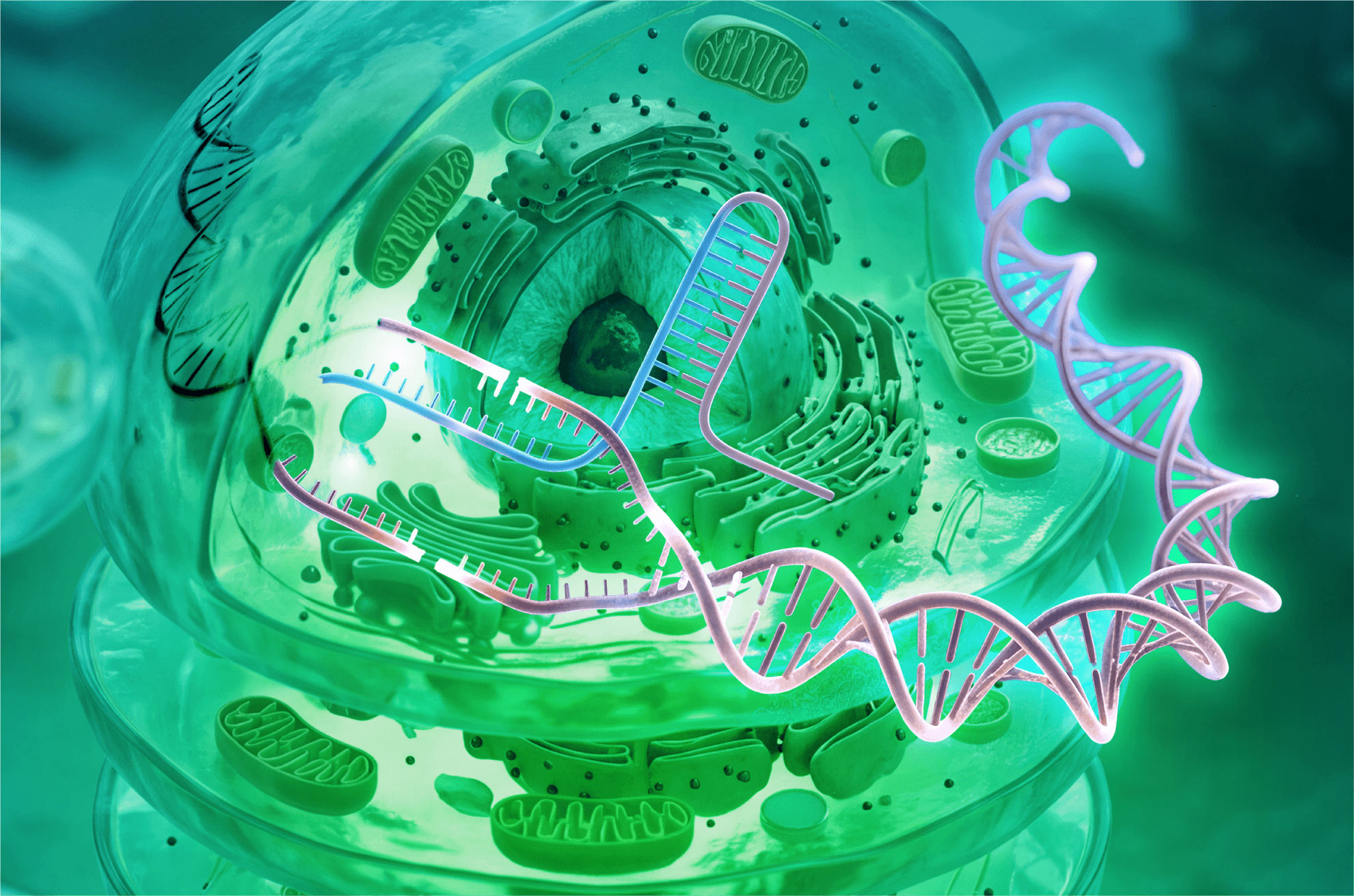 CRISPR Screening with Element Biosciences