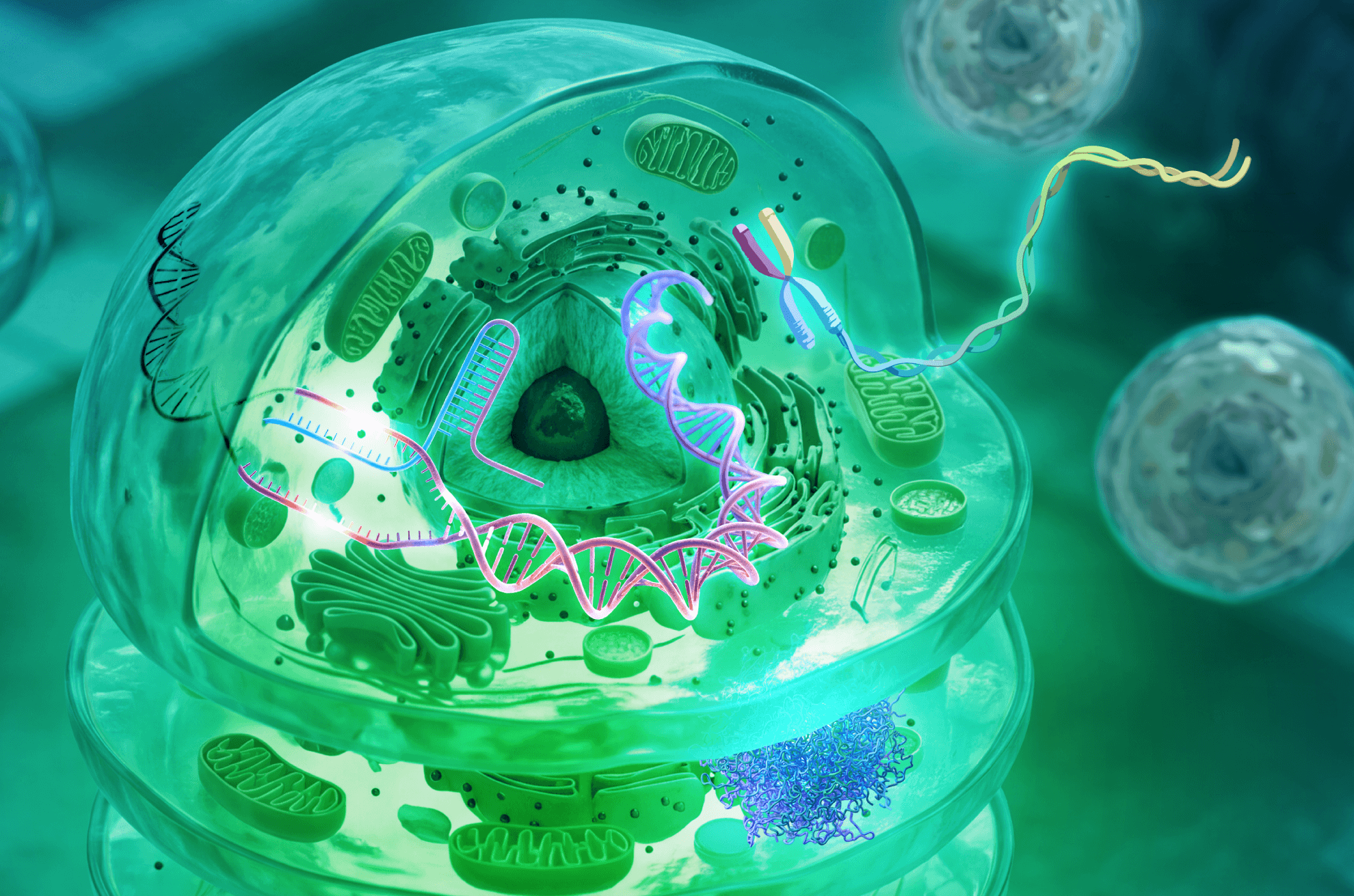 Cytos Cell Screening with Element Biosciences