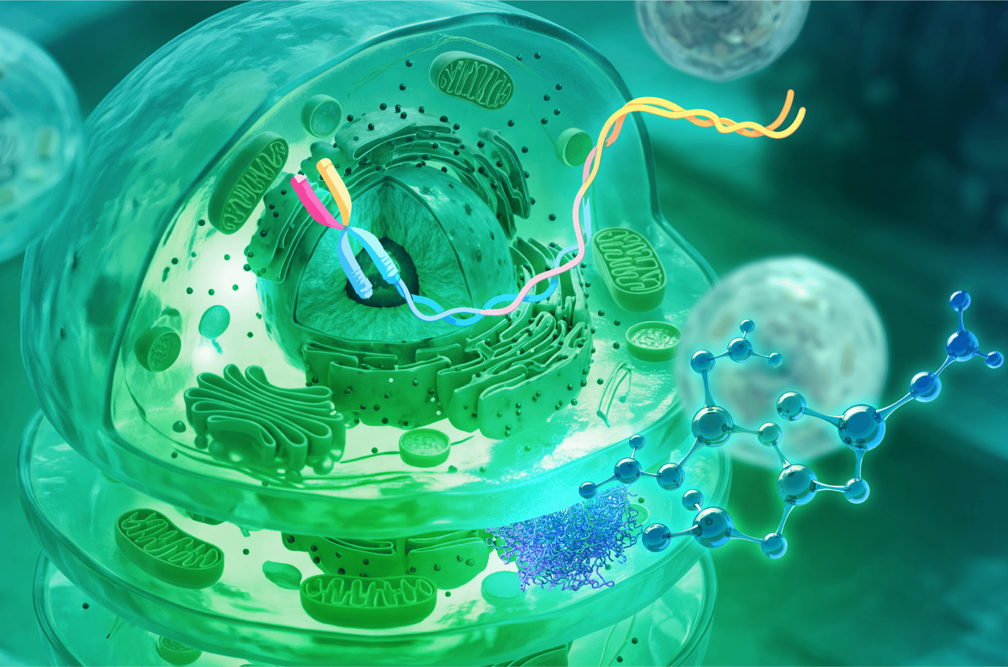 Drug Screening with Element Biosciences