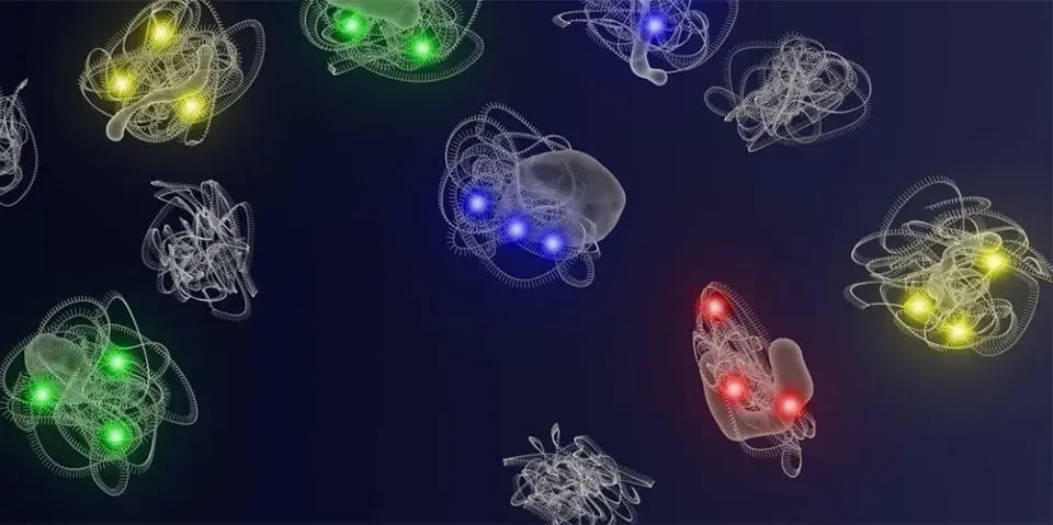 cytoprofiling_tetonDetection_2024-12-04-214709_oovv