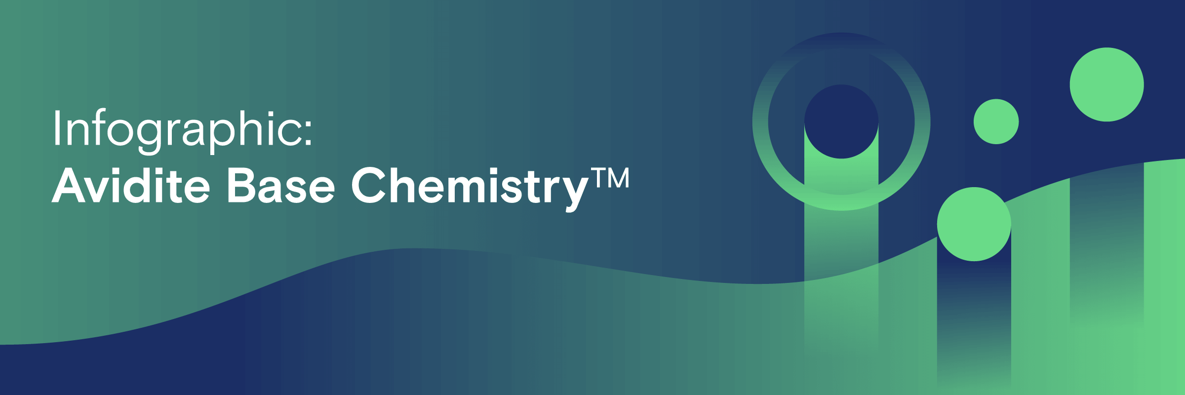 Infographic: Avidite Base Chemistry
