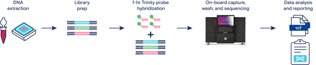 Targetted Sequencing Targeted Sequencing | Element Biosciences