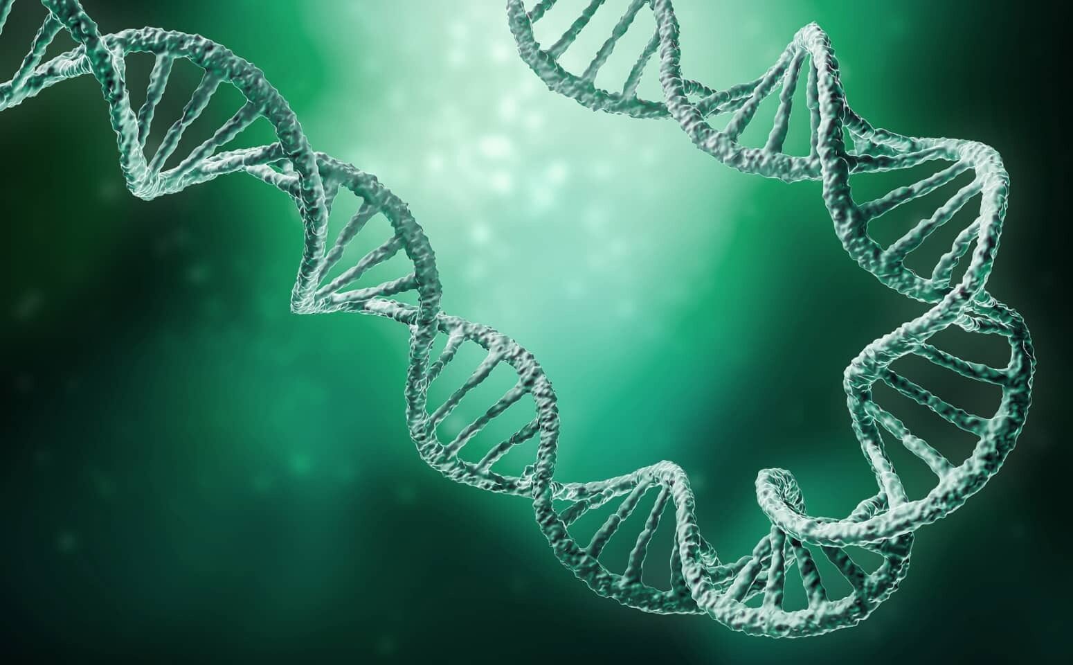 long-read-category-photo