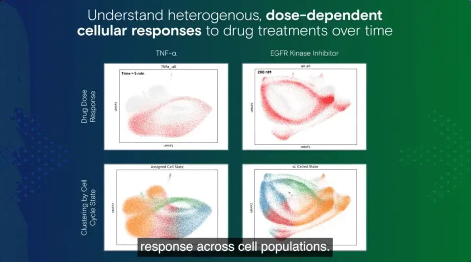 overviewvideo-1_2024-12-07-222429_qpzt