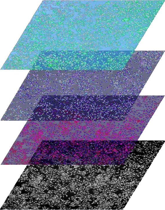 slide11b-copy4-copy_2025-04-04-201923_xlbl