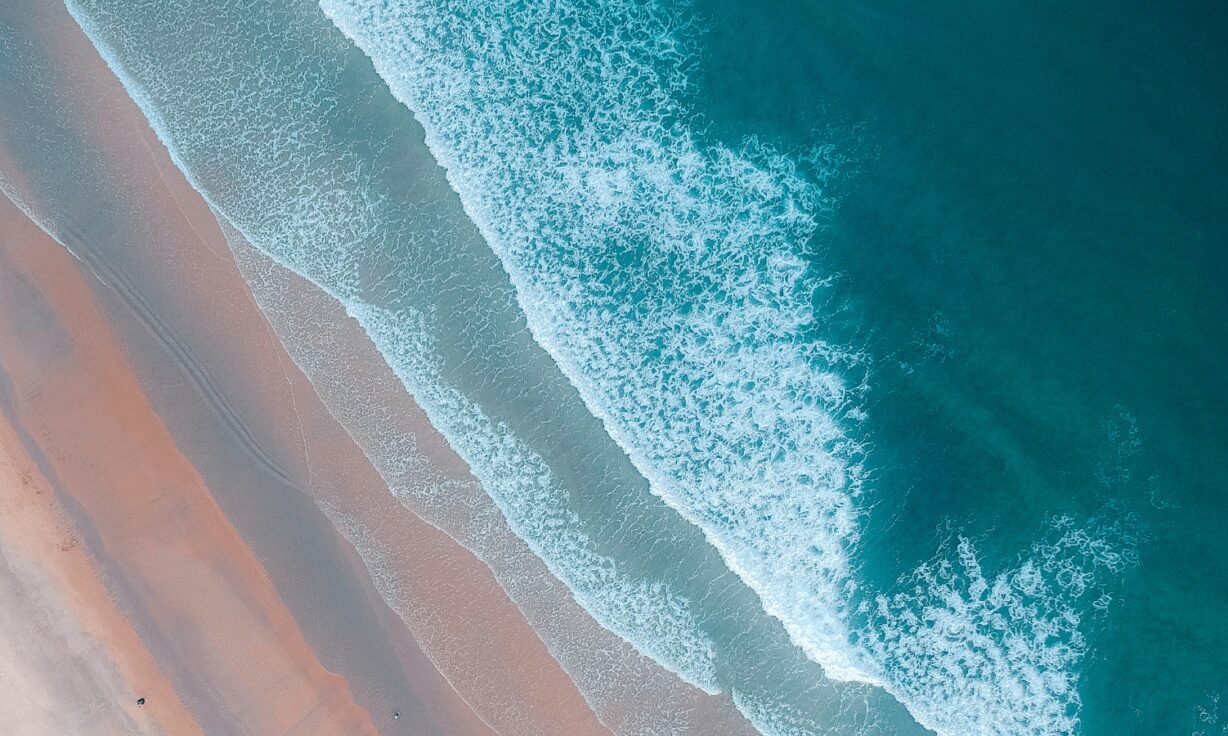 Single-cell sequencing and the Element AVITI™ System: a perfect pairing  