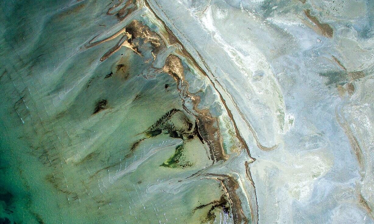 Quantification of Circular Adept™ Libraries Made Simple