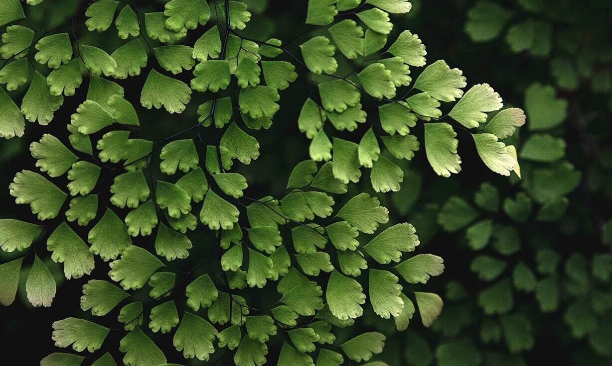 AVITI™ Genomic Analysis on AWS – Simple, Powerful, and Cost-Effective Cloud Computing