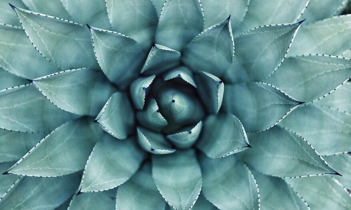 Whole-Exome Sequencing: An Efficient Path to Understanding Disease